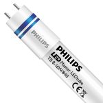 Philips Tubo LED T8 MASTER (HF) High Output 8W 1000lm - 840 Bianco Freddo | 60cm - Sostitutiva 18W