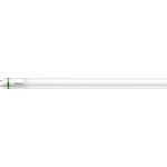 Philips MASTER LED Tube T8 (EM/Mains) Ultra Efficiency 17.6W 3700lm - 865 Luce Del Giorno | 150cm - Sostitutiva 58W