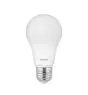 Noxion Pro LED E27 Pera Ghiaccio 5.5W 470lm - 827 Bianco Molto Caldo | Dimmerabile - Sostitutiva 40W