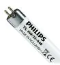 Philips T5 Short 4W - 640 Bianco Freddo | 14cm