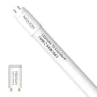 Noxion Tubo LED T8 Avant (EM/Mains) Standard Output 22W 2300lm - 865 Luce del Giorno | 150cm - Sostitutiva 58W