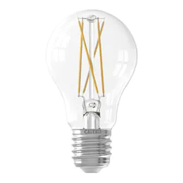 smart lighting filament bulb